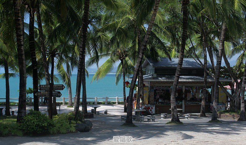 三亚A级旅游景区今天恢复开放了,想出门,哪里海风比较舒服呀 三亚A级旅游景区今天恢复开放了,想出门,哪里海风比较舒服呀 - 爱唱歌