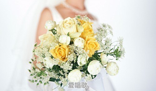 歌词中带有“姑娘”的歌曲有哪些 - 爱唱歌