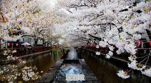 西方古典音乐简单历史你知道吗 西方古典音乐简单历史你知道吗 - 爱唱歌