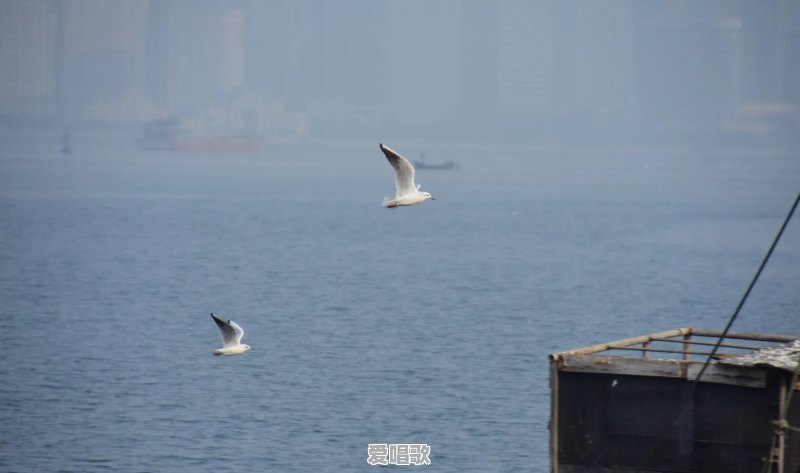 有什么特别治愈的音乐、视频或图片 有什么特别治愈的音乐、视频或图片 - 爱唱歌