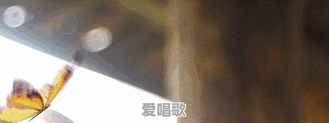 锦州黑山网红歌手 - 爱唱歌