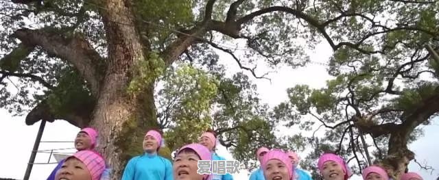 锦州黑山网红歌手 - 爱唱歌