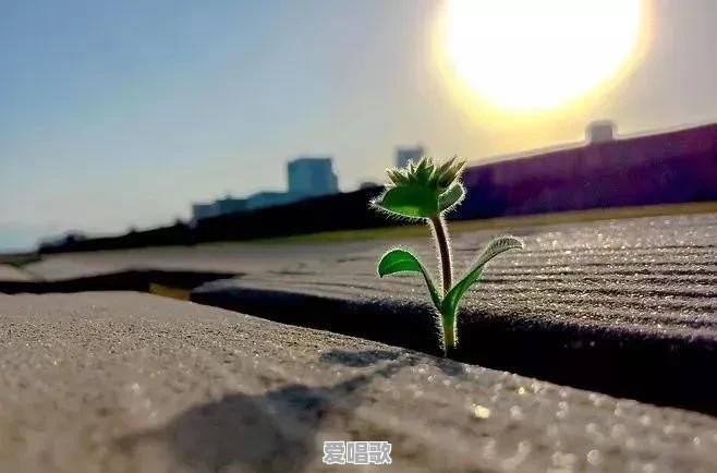 你听过有哪些老人言 你听过有哪些老人言 - 爱唱歌
