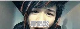 风流粤语歌曲 风流粤语歌曲 - 爱唱歌