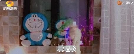 你觉得谁才堪称是华语歌坛的“一哥”、“一姐” - 爱唱歌