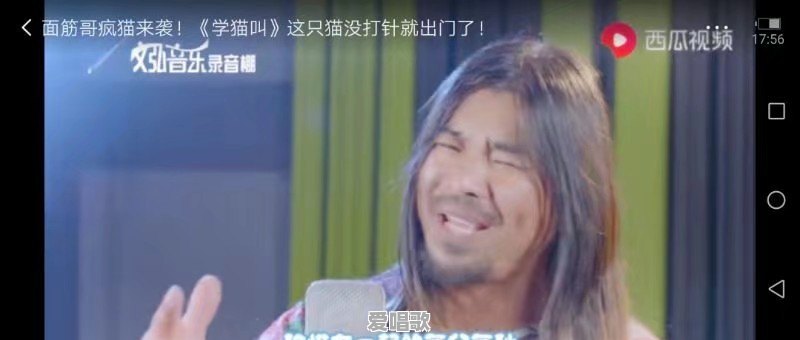 为什么周杰伦、王力宏那样的创作型实力派歌手越来越少,网红越来越多 为什么周杰伦、王力宏那样的创作型实力派歌手越来越少,网红越来越多 - 爱唱歌