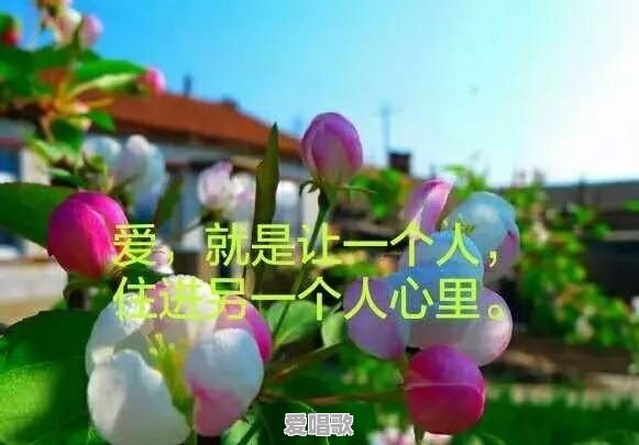 我还爱着她,她这样说,有复合的希望吗 我还爱着她,她这样说,有复合的希望吗 - 爱唱歌