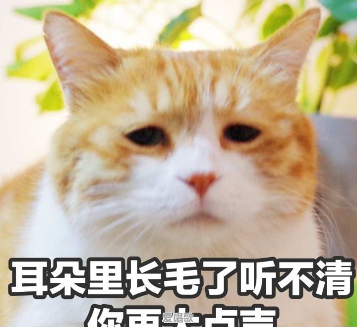 李子柒为什么那么红 李子柒为什么那么红 - 爱唱歌
