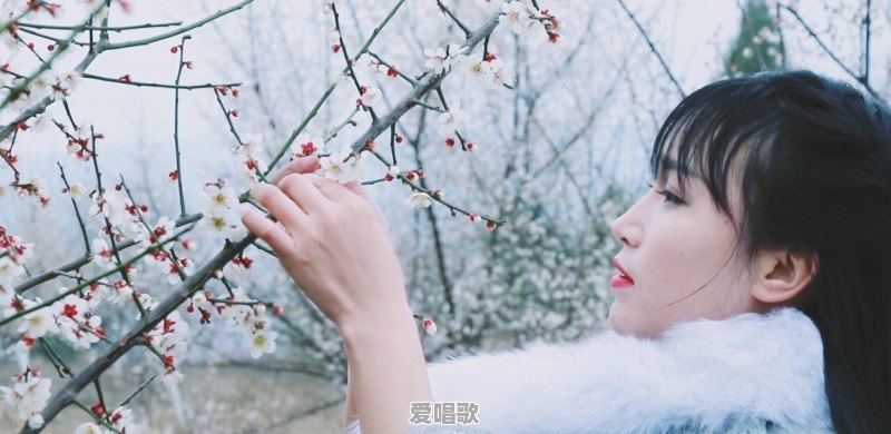李子柒为什么那么红 李子柒为什么那么红 - 爱唱歌
