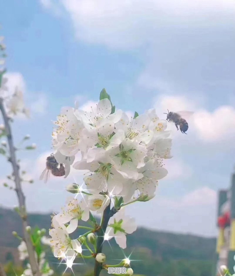 分手时适合听什么歌 分手时适合听什么歌 - 爱唱歌