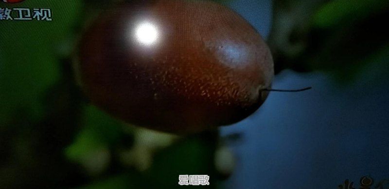 做一只“舔狗”是怎样一种感受 做一只“舔狗”是怎样一种感受 - 爱唱歌