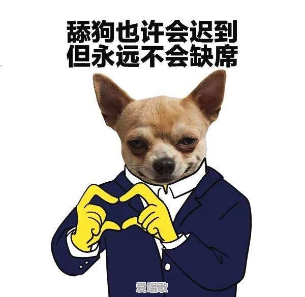 做一只“舔狗”是怎样一种感受 做一只“舔狗”是怎样一种感受 - 爱唱歌