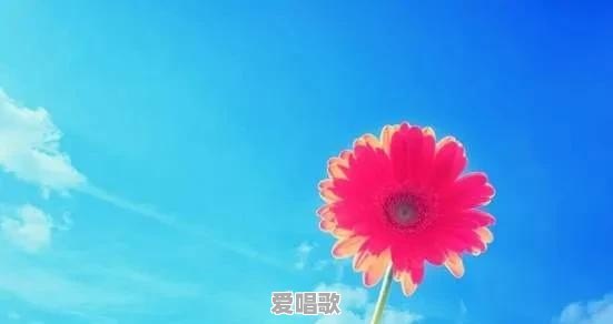 你听过的怼人最狠的话是什么 你听过的怼人最狠的话是什么 - 爱唱歌