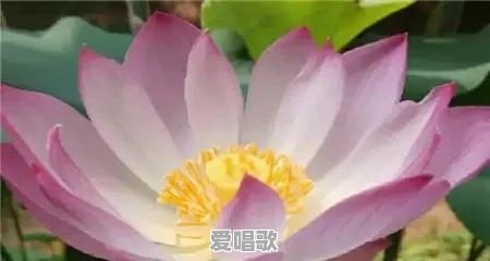年轻人现在怎么学习种田 年轻人现在怎么学习种田 - 爱唱歌