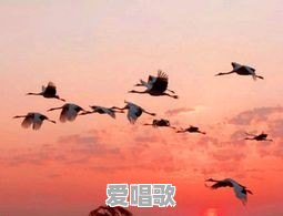 鸿雁是蒙古族传统民歌吗 鸿雁是蒙古族传统民歌吗 - 爱唱歌