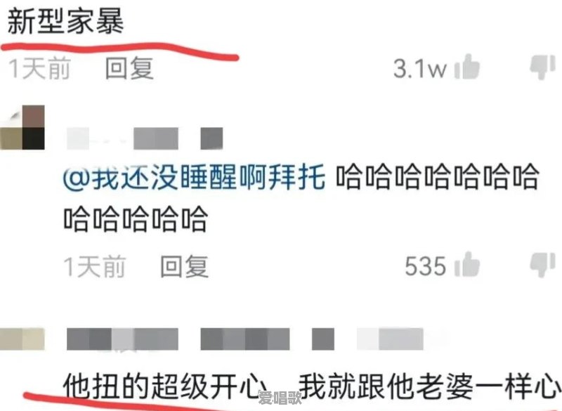 家暴男网红歌手 - 爱唱歌