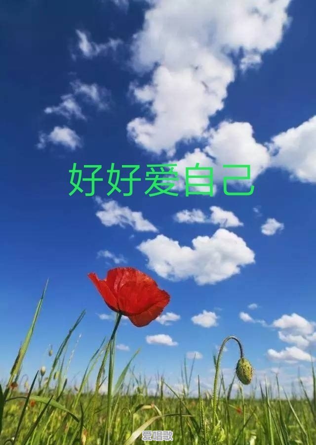 中渡网红歌手 中渡网红歌手 - 爱唱歌