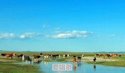 乌拉盖网红歌手 - 爱唱歌