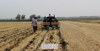 有多少年轻人厌倦了城市的繁华喧闹,想要回归农村的田园生活呢 有多少年轻人厌倦了城市的繁华喧闹,想要回归农村的田园生活呢 - 爱唱歌
