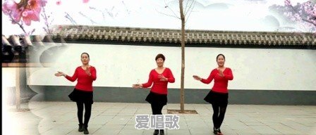 广场舞的领舞怎么有时间学那么多的舞蹈，难道不用工作的吗 - 爱唱歌
