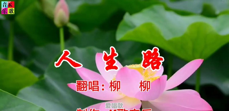 翻唱秒杀原唱的“原唱杀手”你觉得谁最够格 翻唱秒杀原唱的“原唱杀手”你觉得谁最够格 - 爱唱歌