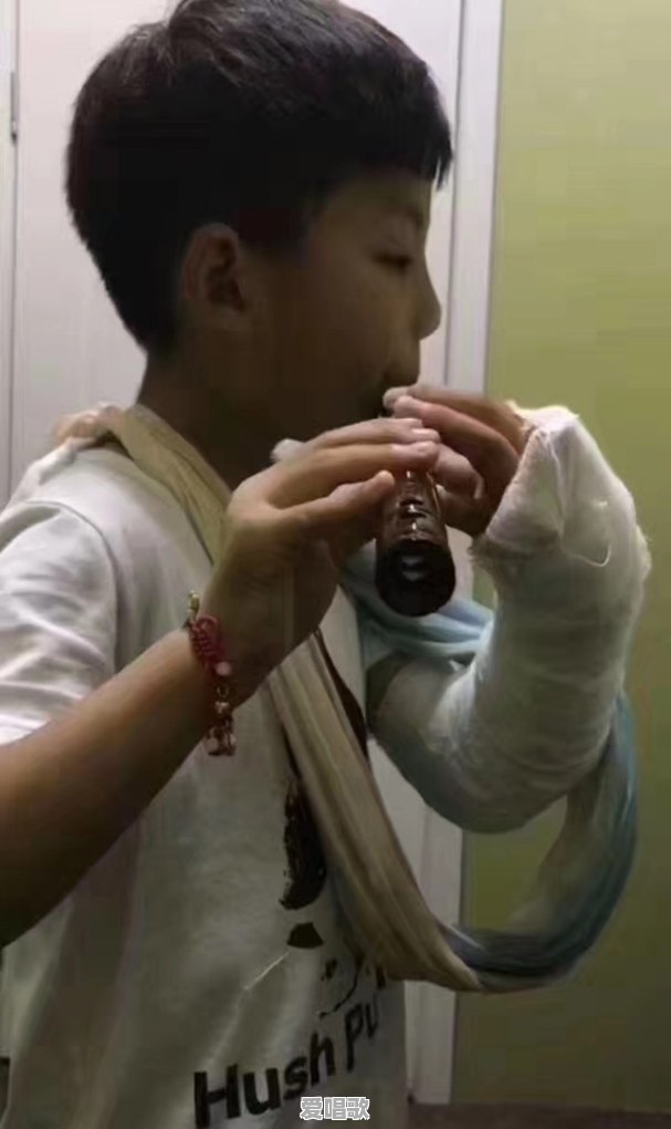 零基础报音乐艺术生选乐器还是声乐 - 爱唱歌