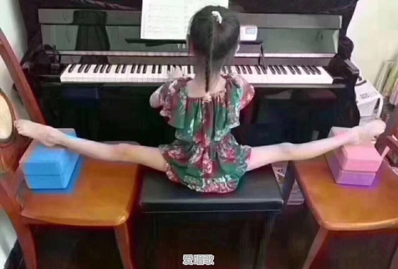 零基础报音乐艺术生选乐器还是声乐 - 爱唱歌