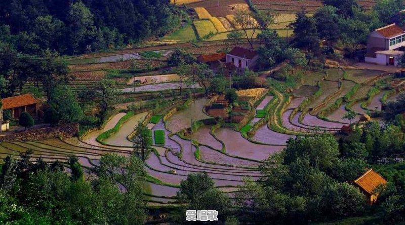 信阳的本地方言为什么听起来和河南其他地方的很不一样 信阳的本地方言为什么听起来和河南其他地方的很不一样 - 爱唱歌