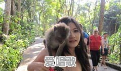 娱乐圈里哪些明星“家世显赫”,会让你感觉很意外 娱乐圈里哪些明星“家世显赫”,会让你感觉很意外 - 爱唱歌