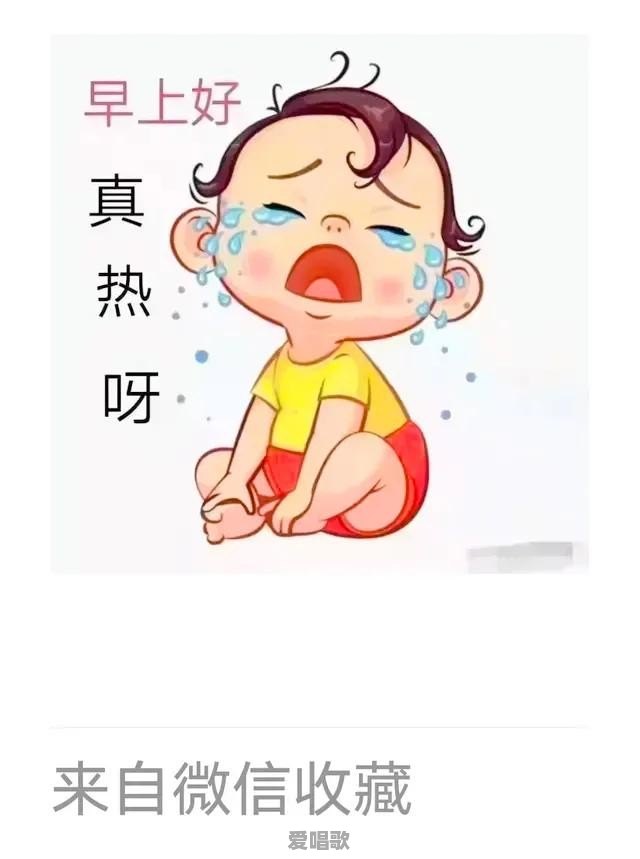胡锡进何许人也 - 爱唱歌