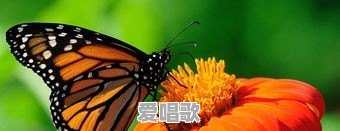 有哪些歌前奏就让人沉沦 有哪些歌前奏就让人沉沦 - 爱唱歌