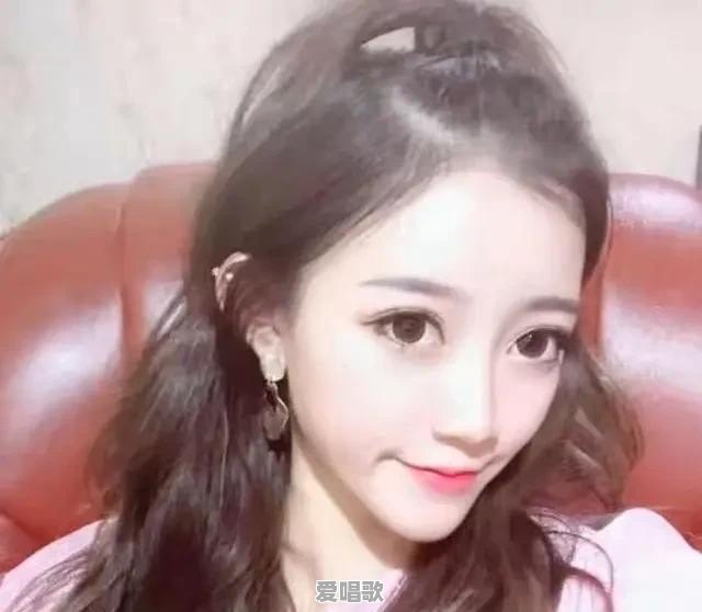 你觉得网红是什么？粉丝又是什么呢 - 爱唱歌