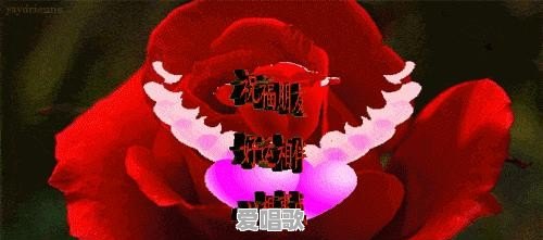 今年23岁,身高1.72m,嗓音独特,想成为歌手,怎么实现梦想 今年23岁,身高1.72m,嗓音独特,想成为歌手,怎么实现梦想 - 爱唱歌