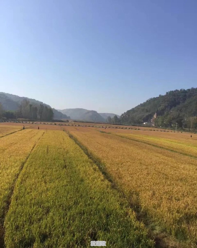 你旅行去过哪里?分享下你旅行去过的地方 你旅行去过哪里?分享下你旅行去过的地方 - 爱唱歌