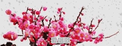 你们给自己的娃都起了什么有趣的小名 你们给自己的娃都起了什么有趣的小名 - 爱唱歌
