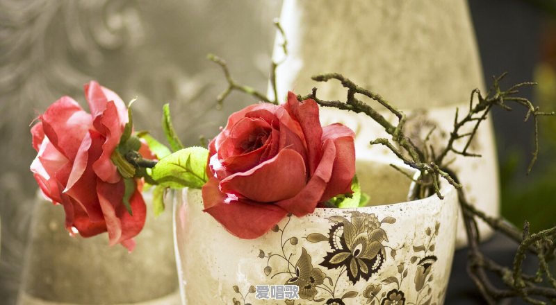 渣女可以有多渣 渣女可以有多渣 - 爱唱歌