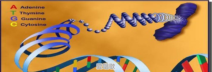 为什么很多吹唢呐的农村人根本就不懂乐理知识，但是吹唢呐还那么溜 - 爱唱歌