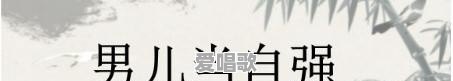 燃烧粤语歌曲 燃烧粤语歌曲 - 爱唱歌