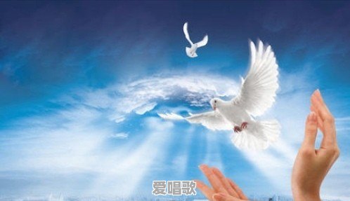 什么是网红？成为网红的标准是什么 - 爱唱歌