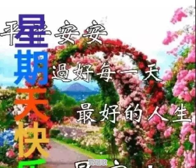 你见过的,明星上综艺或参加活动,遇到过哪些极度尴尬的事 你见过的,明星上综艺或参加活动,遇到过哪些极度尴尬的事 - 爱唱歌