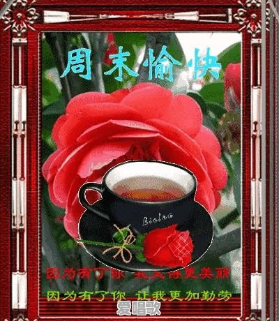 你见过的,明星上综艺或参加活动,遇到过哪些极度尴尬的事 你见过的,明星上综艺或参加活动,遇到过哪些极度尴尬的事 - 爱唱歌