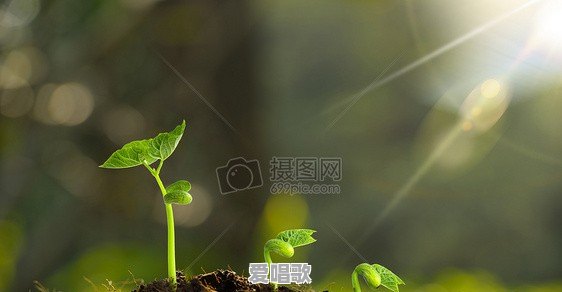 现在还有多少人知道古人是怎样教人学会写诗词的？会教小白的 - 爱唱歌