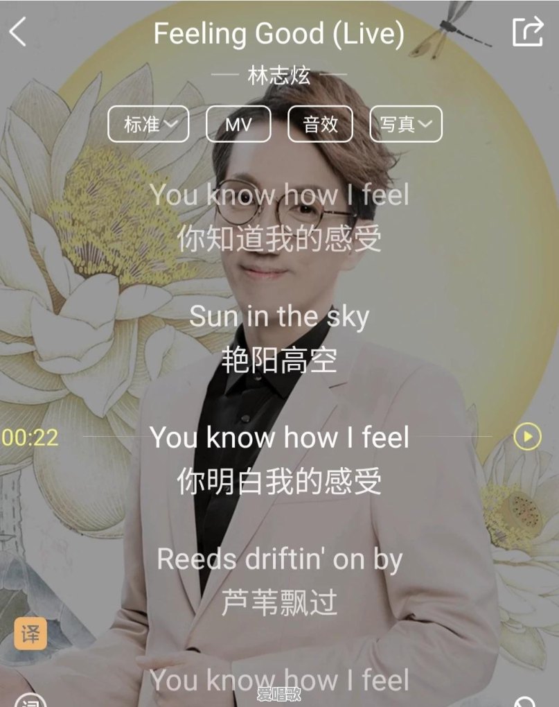 节奏不错的网络歌曲 节奏不错的网络歌曲 - 爱唱歌