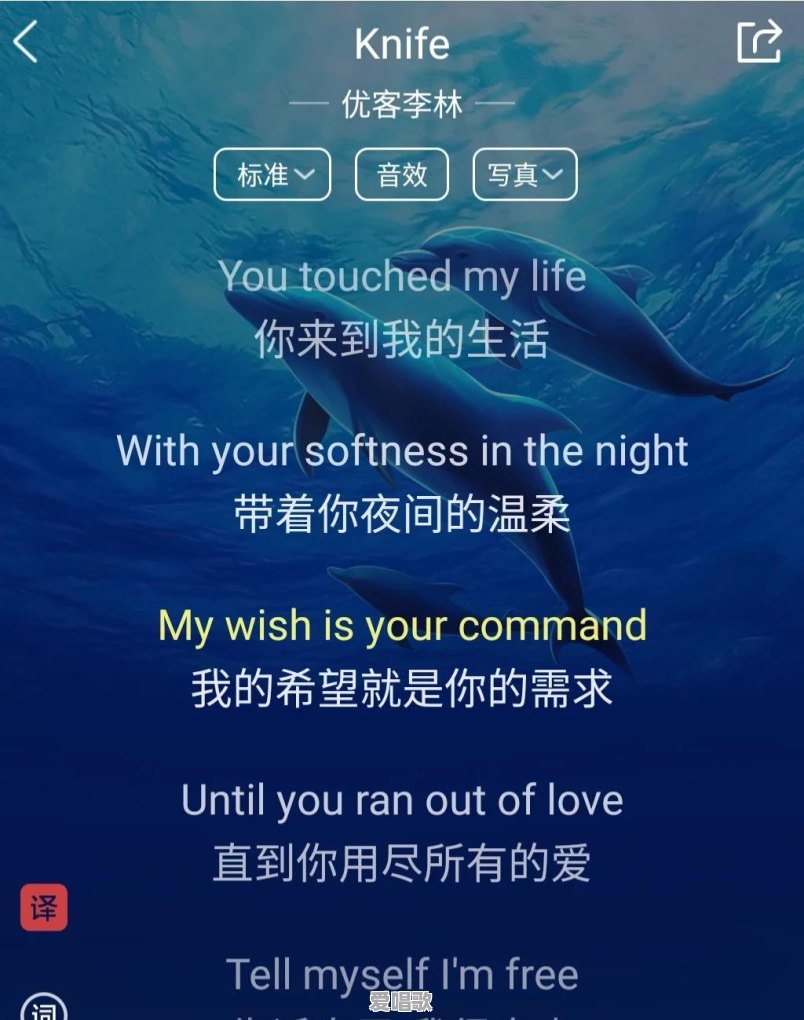 节奏不错的网络歌曲 节奏不错的网络歌曲 - 爱唱歌