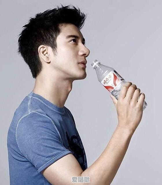 如何评价王力宏的创作水平和在华语乐坛的地位 如何评价王力宏的创作水平和在华语乐坛的地位 - 爱唱歌