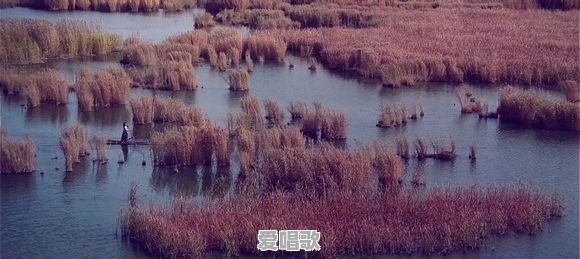 你认为香港电影哪一部配乐最经典最悦耳 你认为香港电影哪一部配乐最经典最悦耳 - 爱唱歌