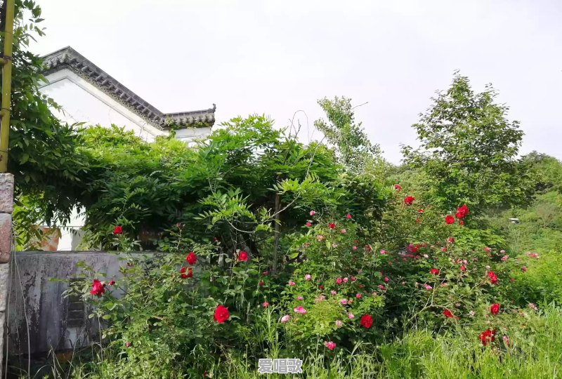 戴脚镣是一种什么感觉 戴脚镣是一种什么感觉 - 爱唱歌