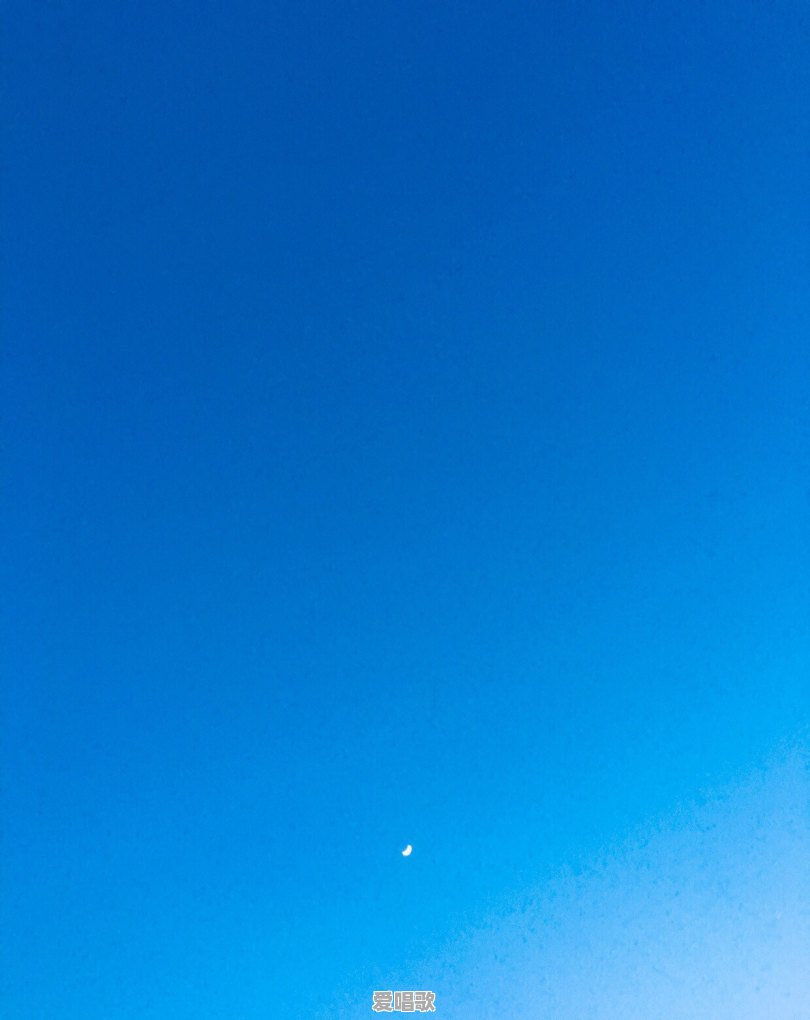你觉得网络歌手和歌手最大的区别是什么 你觉得网络歌手和歌手最大的区别是什么 - 爱唱歌