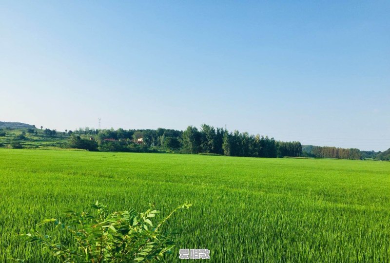 男生发《勉为其难》这首歌给别人看是什么意思 男生发《勉为其难》这首歌给别人看是什么意思 - 爱唱歌