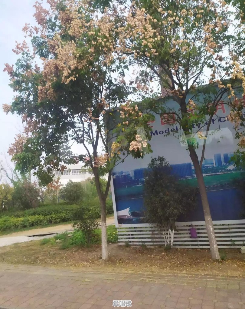 你觉得华语乐坛有哪些歌王歌后实至名归,为什么 你觉得华语乐坛有哪些歌王歌后实至名归,为什么 - 爱唱歌